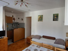 Studio cosy à 2 min des commerces et 350 m des pistes à Pra Loup - FR-1-165A-168